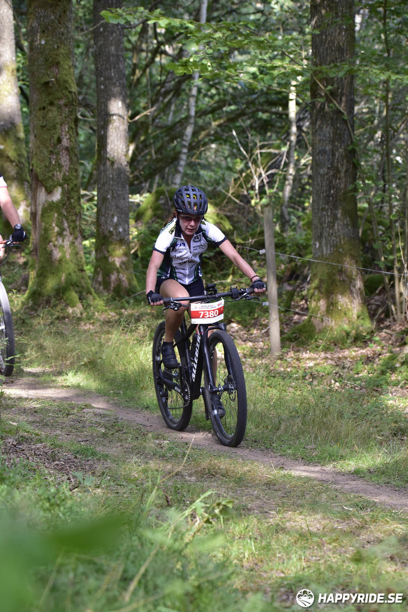 Bild från Bockstensturen 2019